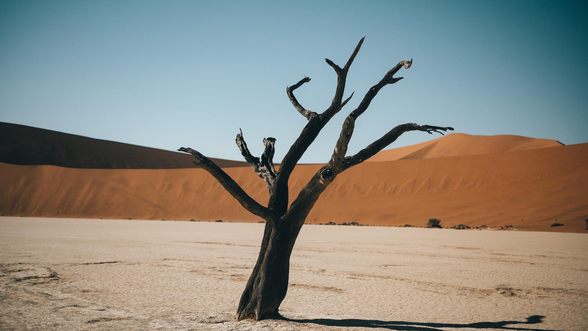 Travelagency x Namibia